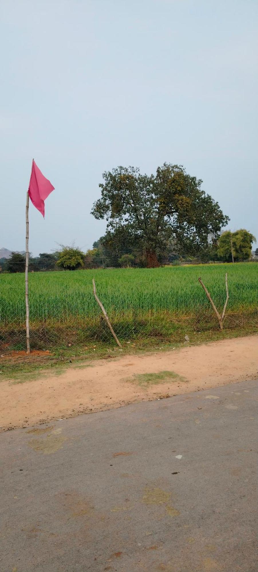 Laxmi Home Stay Ghura ภายนอก รูปภาพ